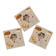 Koustrup & Co. Servietter - Mushrooms